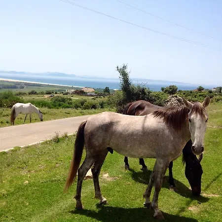 El Estrecho Tarifa