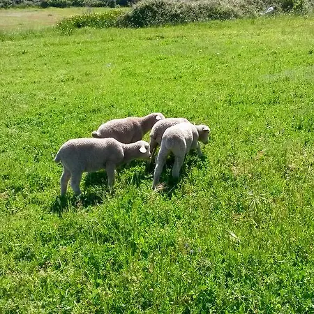 El Estrecho